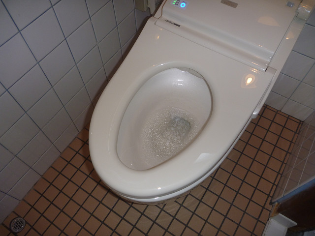 resize2961.jpg