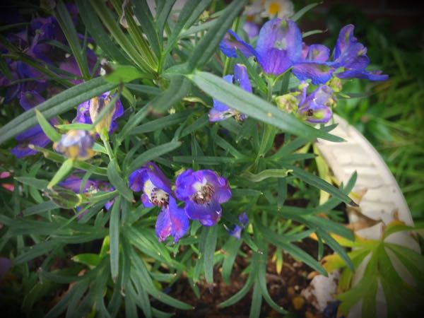 rblog-20160427174445-04.jpg