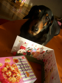 ９回クリスマス