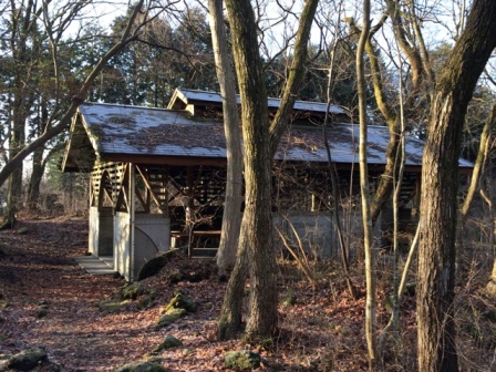 2014-03-16 07.08.11.jpg