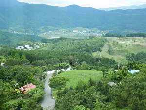 P6060056.png