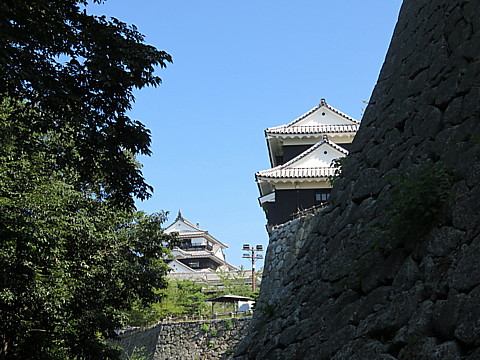 IMG_5724.jpg