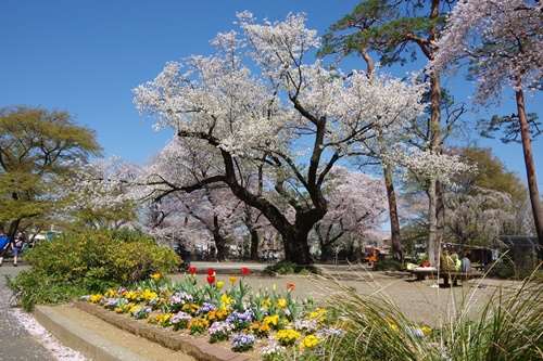 井の頭自然文化園