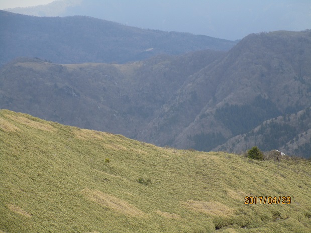 IMG_8164.JPG
