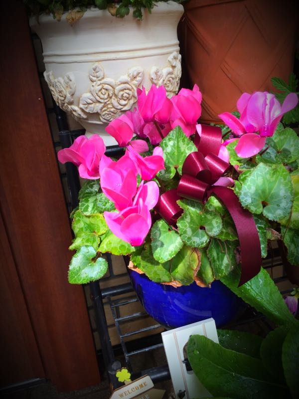 rblog-20160426005610-05.jpg