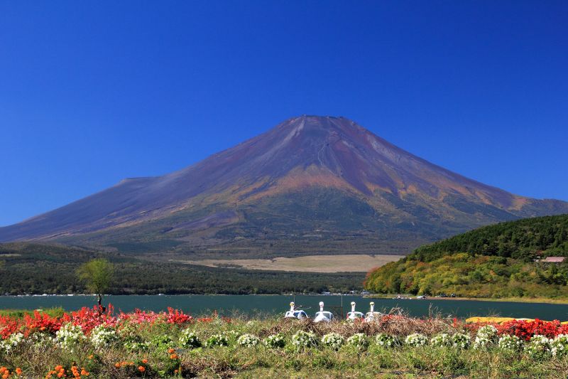 関東散策回顧_005紅葉富士.jpg