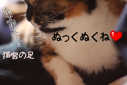 IMG_1431.png