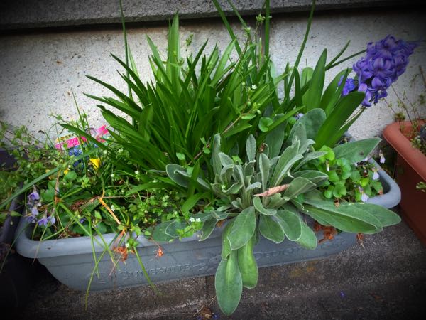 rblog-20160330184054-01.jpg