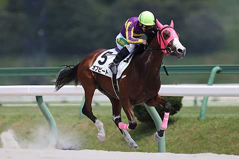 トウケイニセイラストラン　第21回桐花賞　単勝馬券　岩手競馬 観覧券セット トウケイニセイラストラン 第21回桐花賞 単勝馬券 岩手競馬 観覧