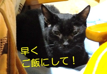 20121117_5.jpg