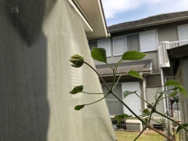 rblog-20180430174711-08.jpg
