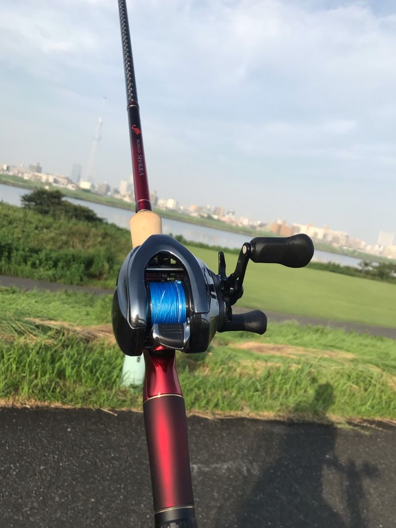 ワールドシャウラ17114r-2＆アンタレスDCMD購入 | Early morning
