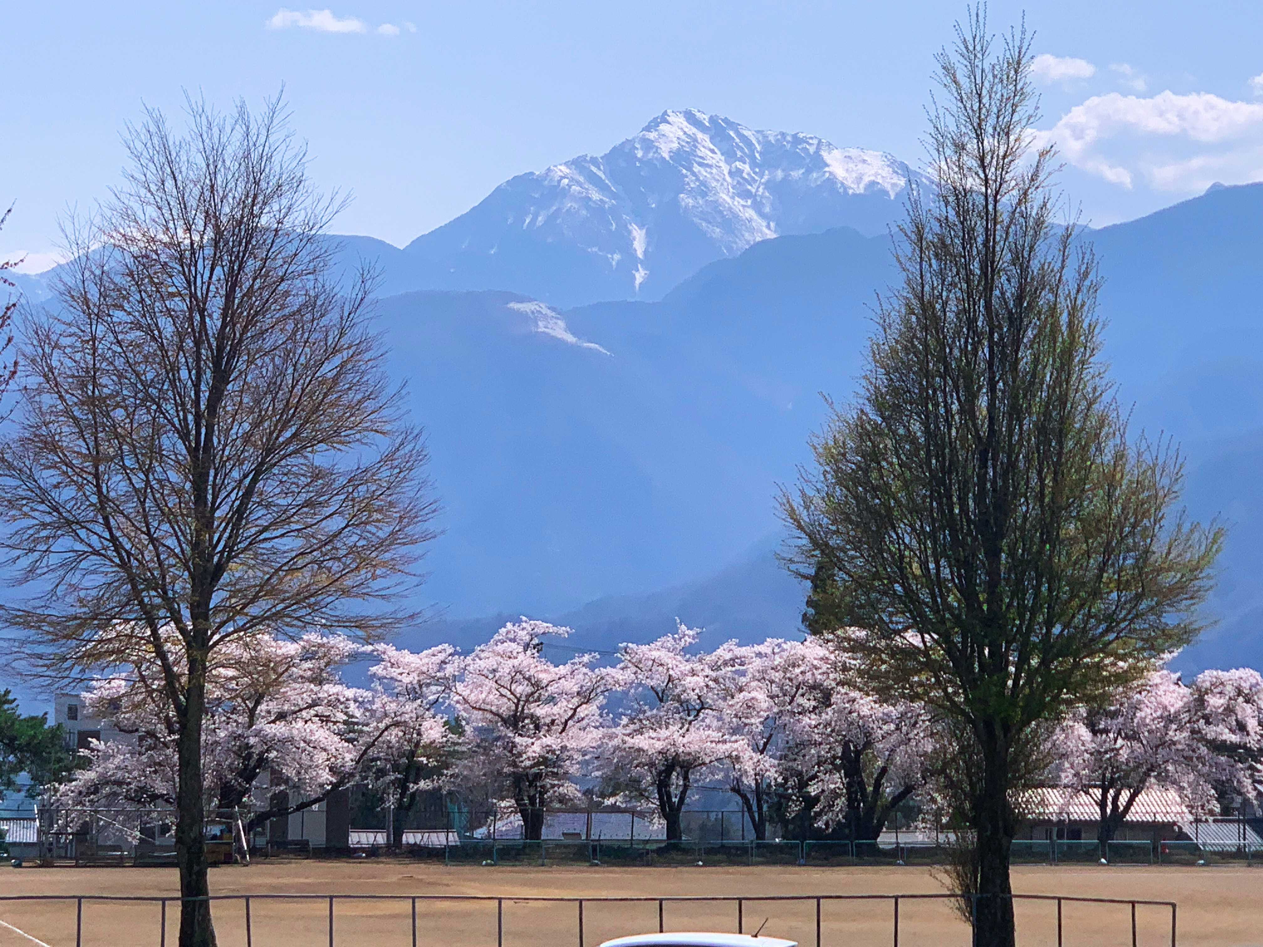 34歳の独り言