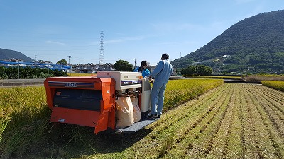 20161015_112659.jpg