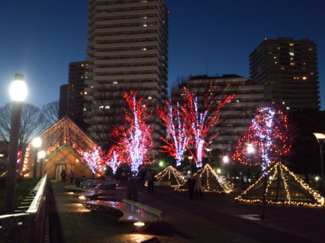 2012-12-16 17.05.26.jpg