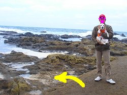 20130428ボチャン！