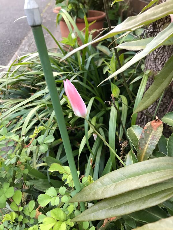 rblog-20180408181528-05.jpg