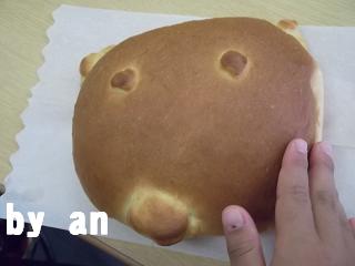 p.an2
