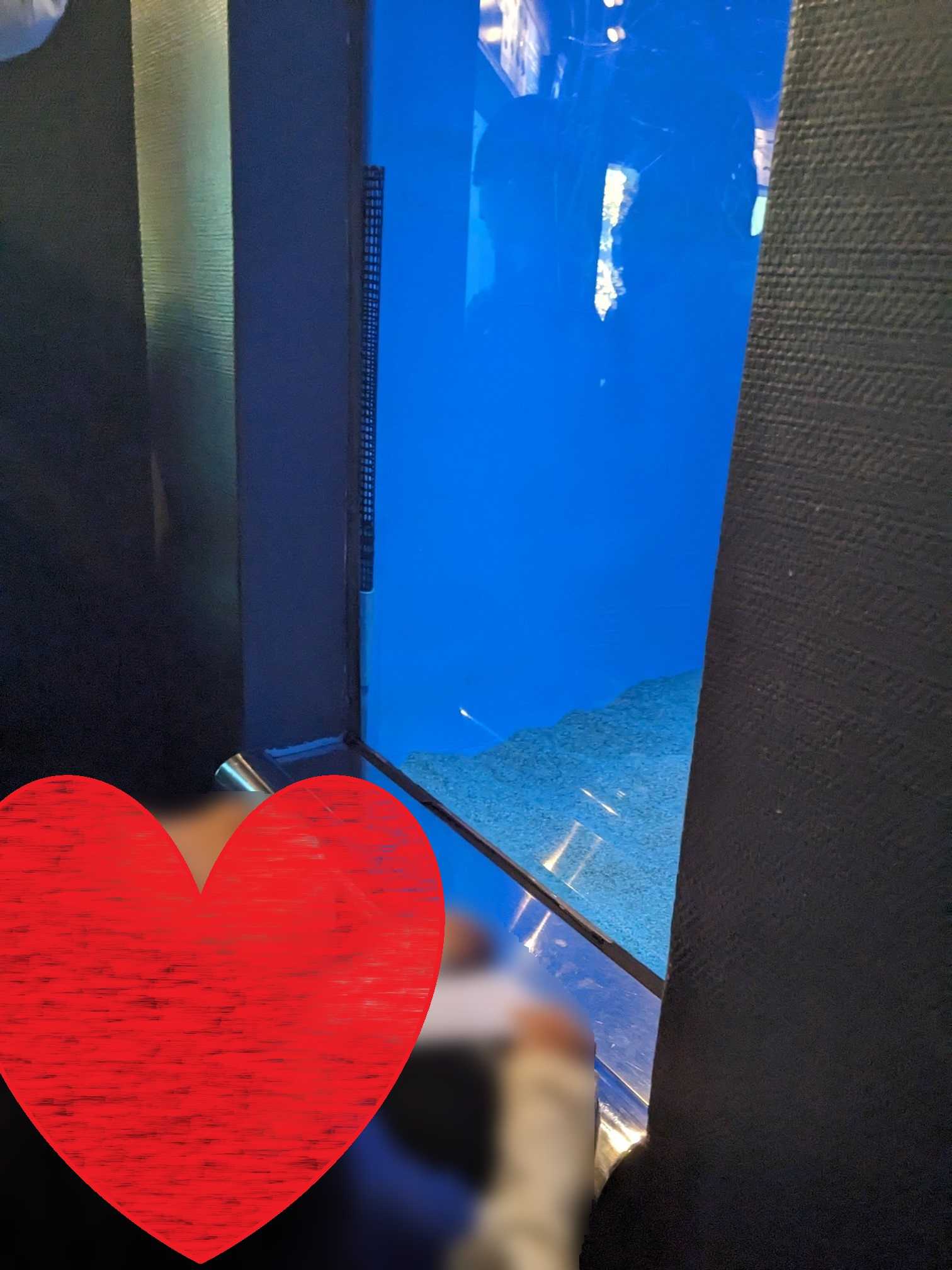 幼児と葛西臨海水族園