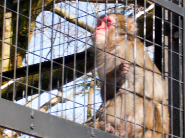 DSCN5517.jpg