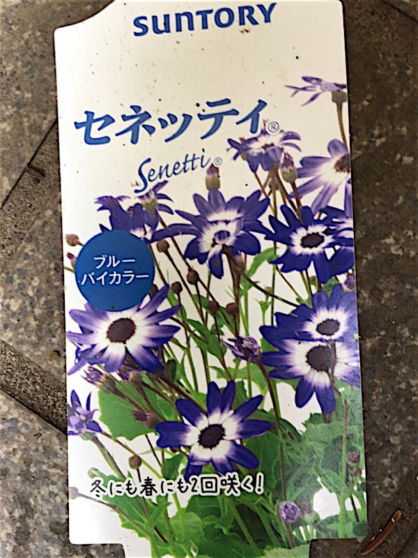 rblog-20160331165931-00.jpg