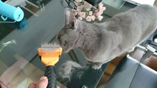 rblog-20170611181745-02.jpg