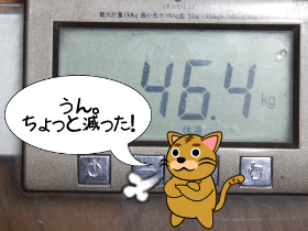 P6220019_1.png