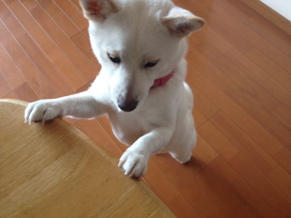 rblog-20150227125000-04.jpg