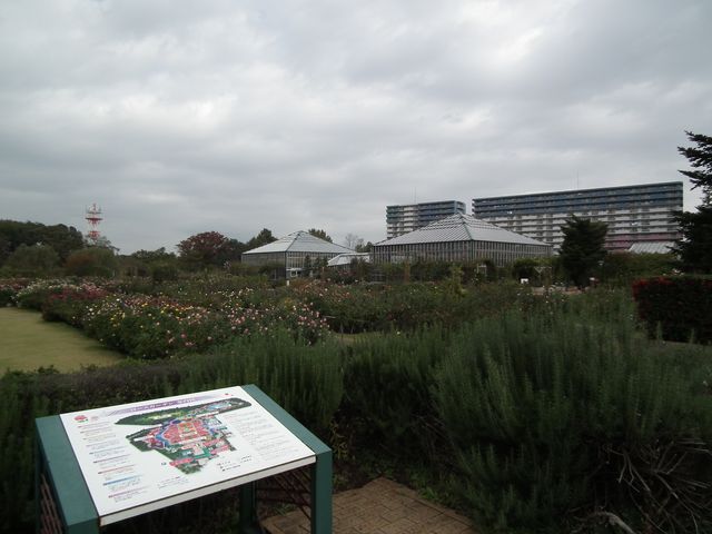 DSCF8509.JPG