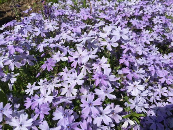 rblog-20180505160632-06.jpg
