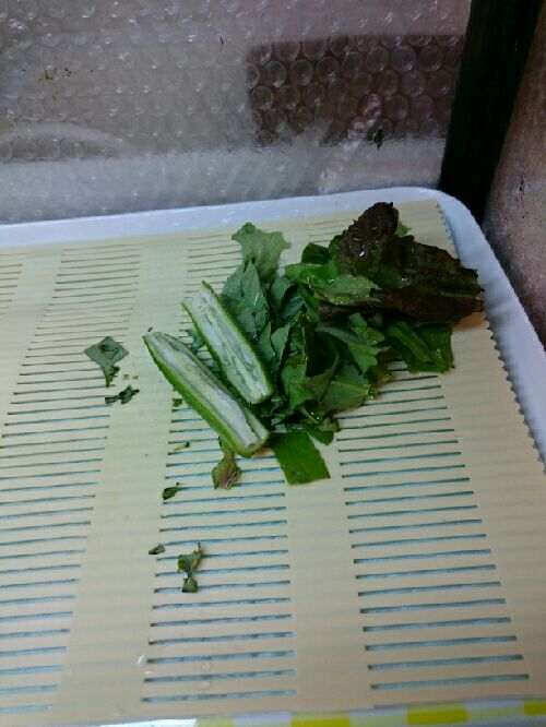 rblog-20151105151550-02.jpg