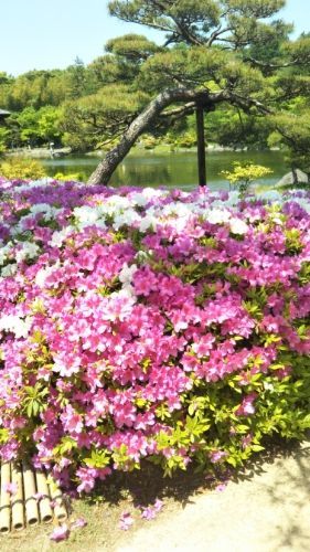rblog-20180430203849-02.jpg