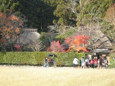 PB230276(30%).jpg