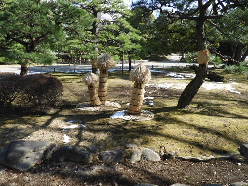 浜離宮恩賜庭園にて