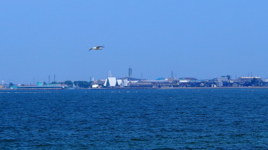 日本海　魚津　7.24　2016　ｐ