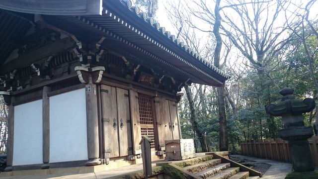 2016-01-31 10.02.36.jpg