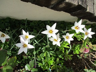 IMG_8824ss.jpg