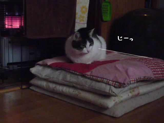 そこに入るなんて！