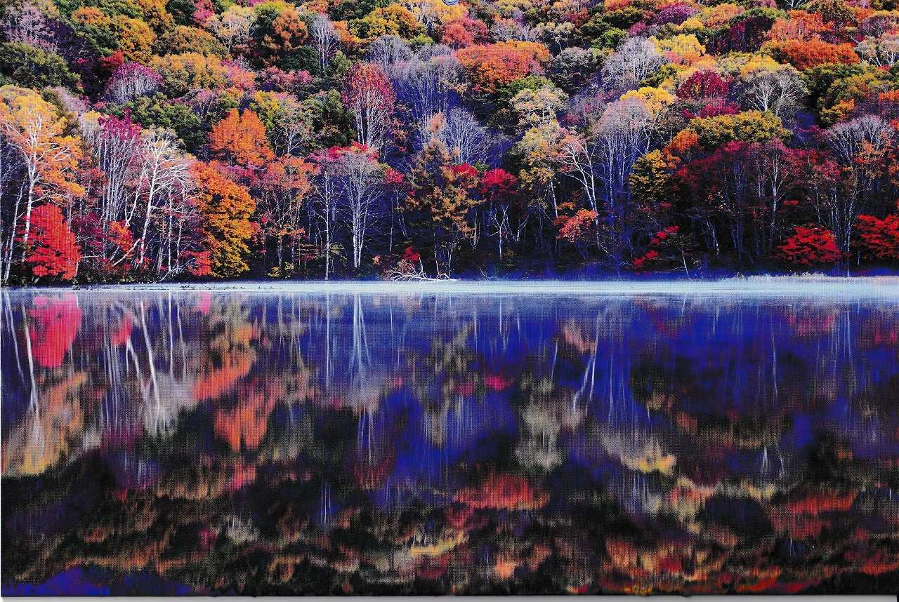 笑う門には健康来るヽ(^o^)丿