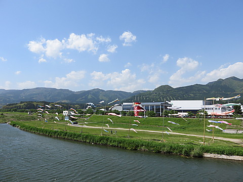 IMG_1033.jpg
