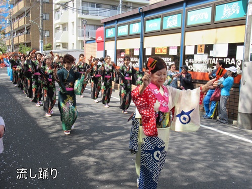 馬込文士村大桜まつり