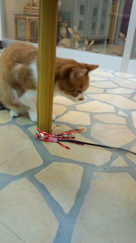 rblog-20141204160649-01.jpg