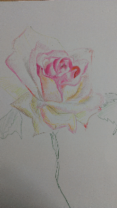 rblog-20130604134249-00.png