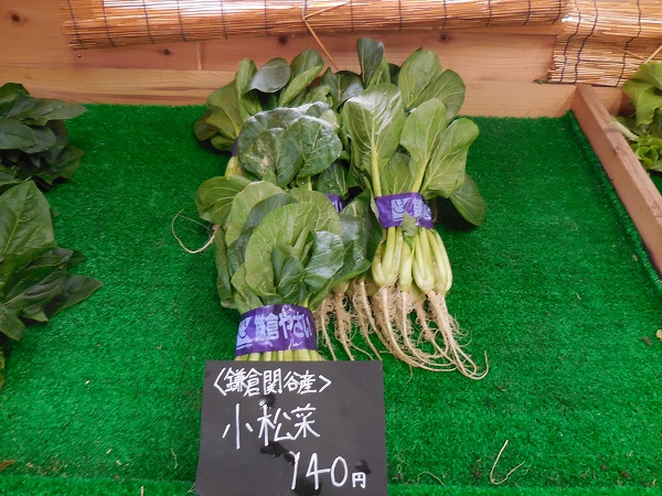 DSCN3476.jpg