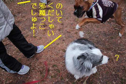 障害物