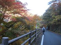 IMG_3796_R.JPG