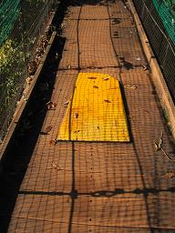 9橋.JPG