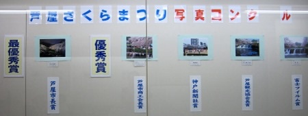 芦屋さくらまつり写真コンクール