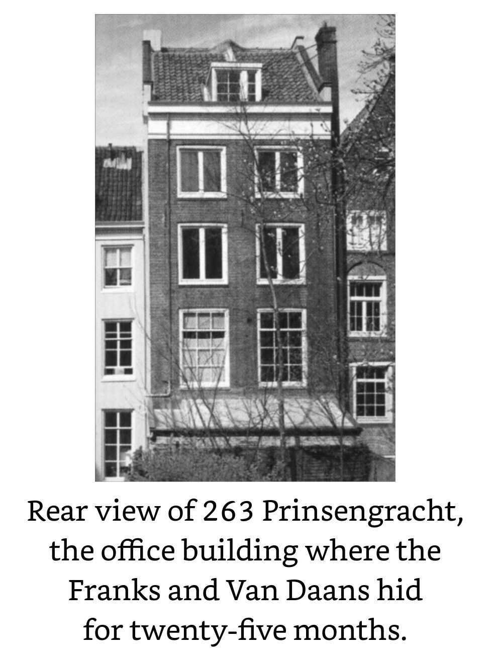 3ページ目の カテゴリ未分類 ねこログ 楽天ブログ