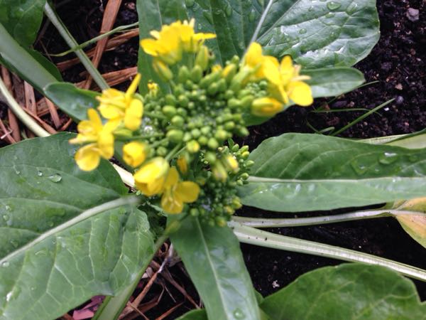rblog-20151212223157-02.jpg